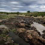 Mozambico: tregua al Nord, i barbari verso Nampula